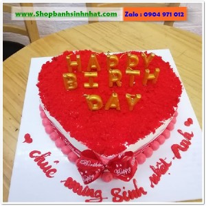 Bánh Sinh Nhật Tiramisu - T310